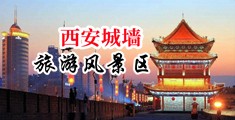 操小逼美中国陕西-西安城墙旅游风景区